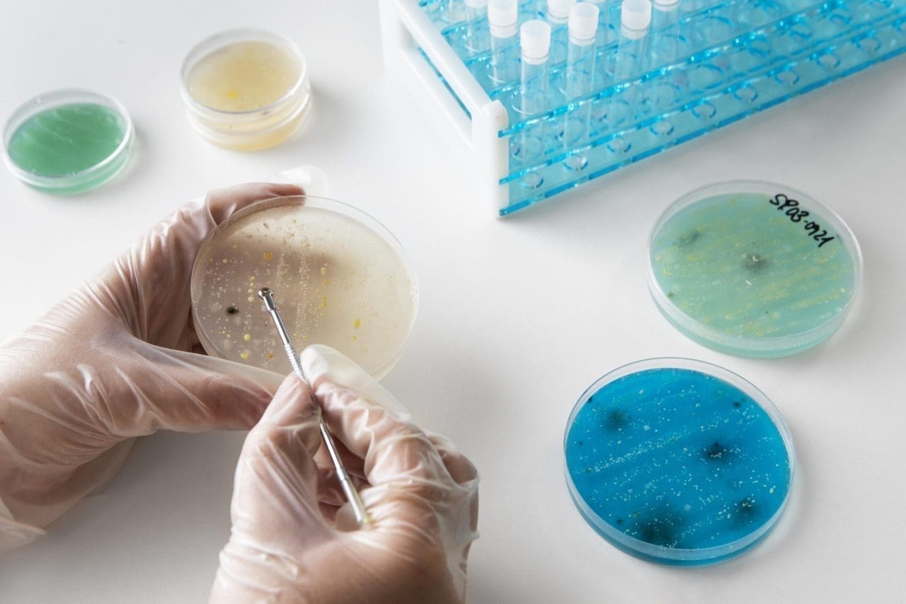Startup biotech busca convertirse en líder de desarrollo microbiológico en Latam