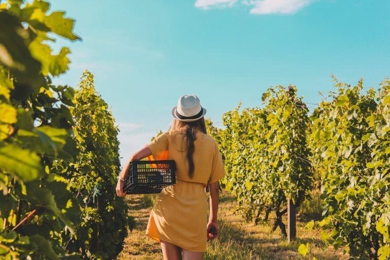 ¡Atención mujeres! Ya pueden postular al Premio Nacional Mujer AgroInnovadora 2023