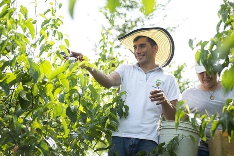 Se extiende convocatoria para programa de aceleración en Chile y Colombia