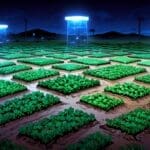 Campo de cultivo digitalizado con sensores y tecnología avanzada