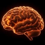 Visualización del impacto de la privación de sueño en la función cerebral con flujo de fluido cerebroespinal según estudio MIT en neurociencia.