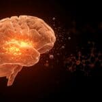 Imagen ilustrativa del tratamiento innovador del Alzheimer a través de la modulación de la barrera hematoencefálica con nanomedicina y avances en terapias neurodegenerativas para startups biotecnológicas.